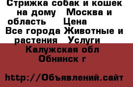 Стрижка собак и кошек на дому.  Москва и область.  › Цена ­ 1 200 - Все города Животные и растения » Услуги   . Калужская обл.,Обнинск г.